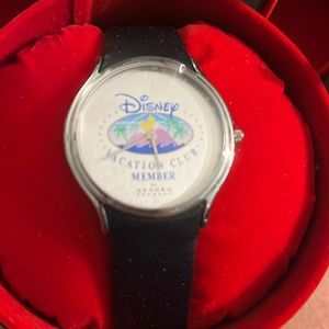 Vintage Skagen Disney Vacation Club Watch